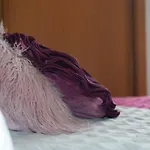 Angel's