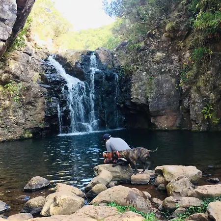 Appartement Angel's *