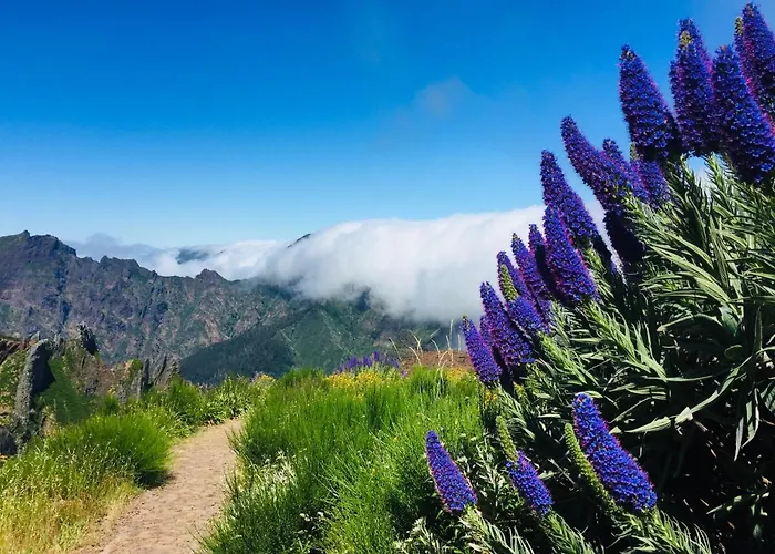 Appartement Angel's *