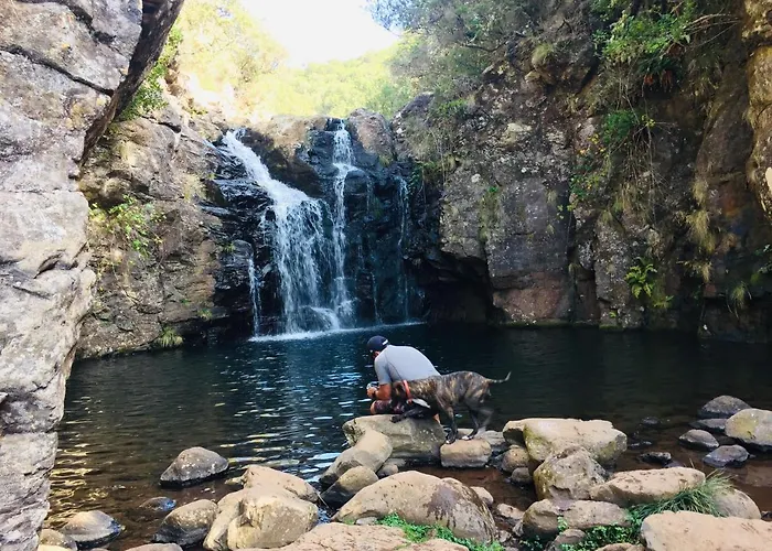 Appartement Angel's *